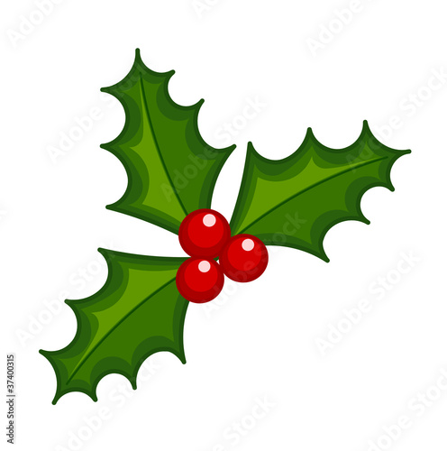 Holly berry icon
