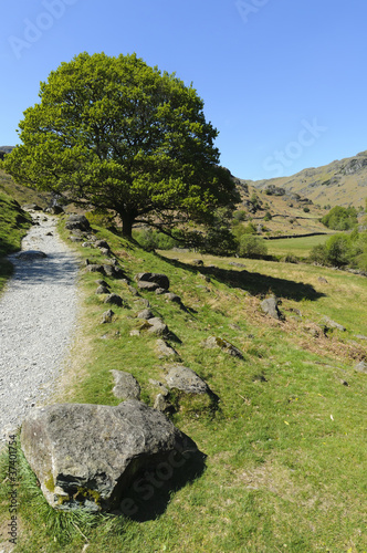 Easedale Valley photo
