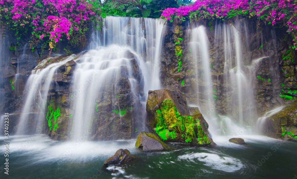 Waterfall in Hawaii