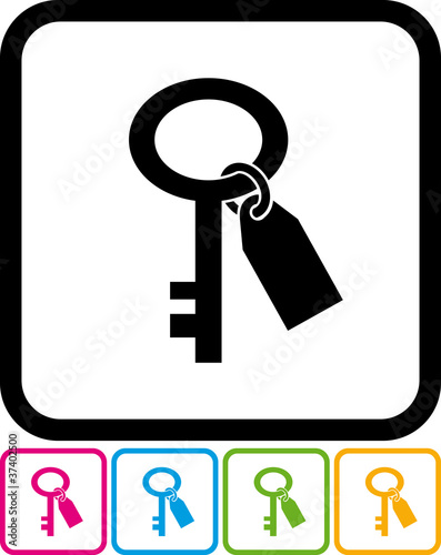 Key with keyring vector icon