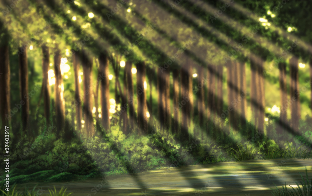 木漏れ日の入る森の中 Stock イラスト Adobe Stock