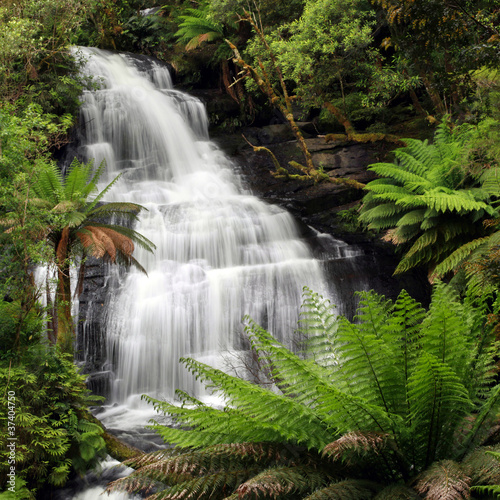 Fototapeta Naklejka Na Ścianę i Meble -  Rainforest Waterfall