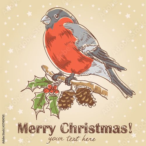 Christmas hand drawn postcard with bullfinch