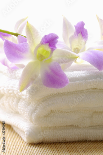 Macro of pink orchid on towel