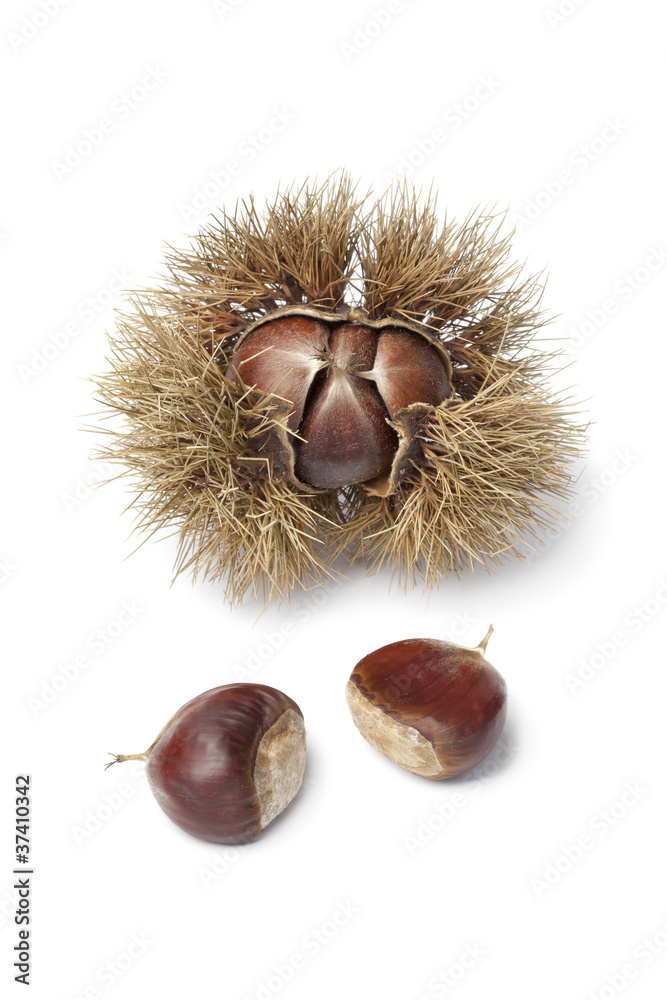 Sweet chestnuts Sweet chestnuts