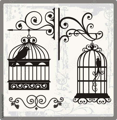 Vintage Bird Cages with Ornamental Decorations