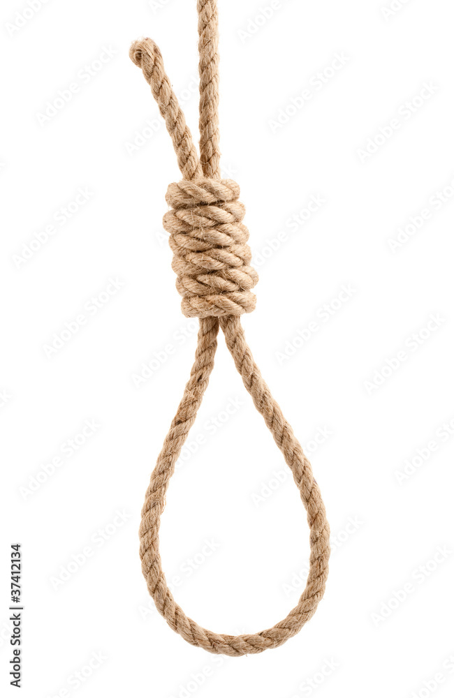rope with knot for suicide isolated on white background