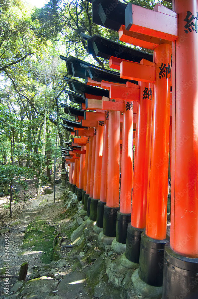 Toris en Fushimi Inari taisha en Kyoto,Japon