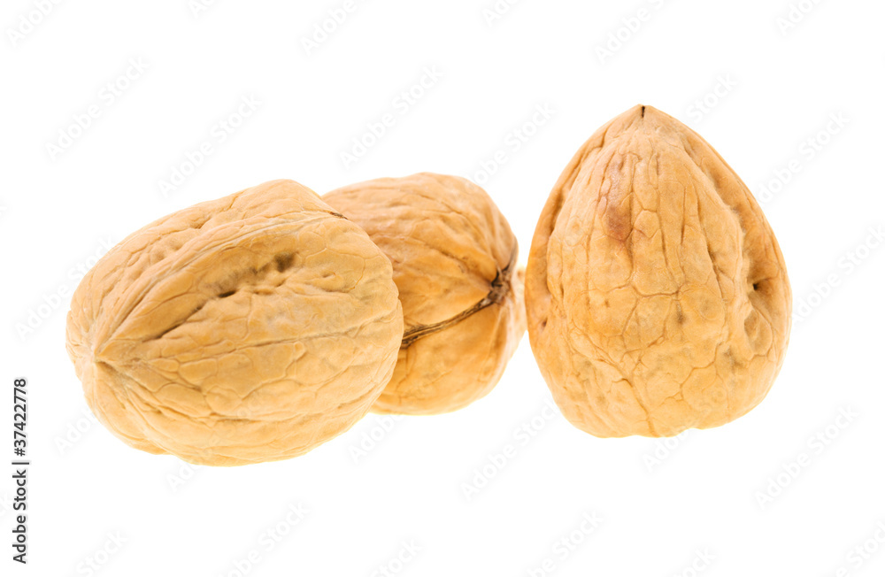 Walnut Walnut
