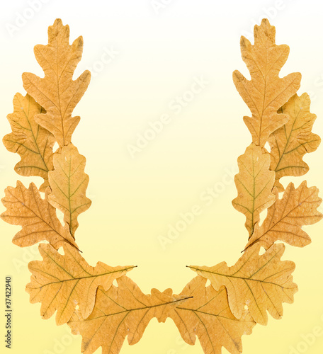 Dry leaves of oak on a yellow background.