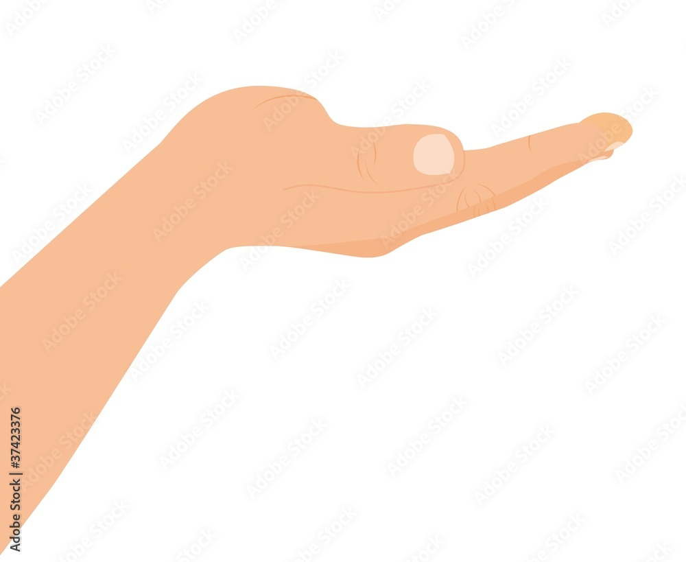 empty hand empty hand