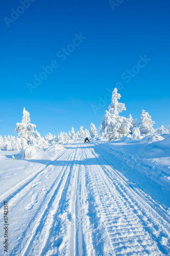 Winter in the finland