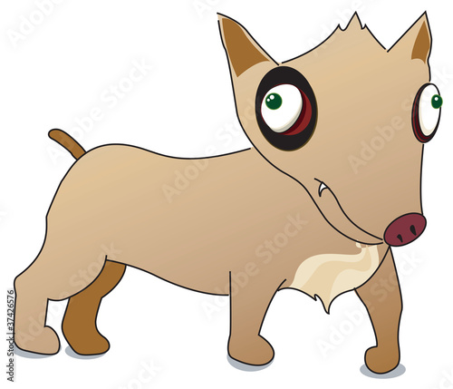 Perrito