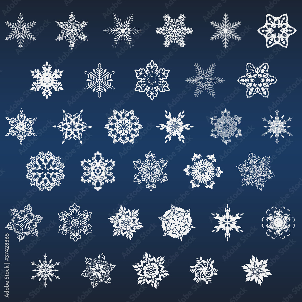 Set of snowflake, vector Set of snowflake, vector