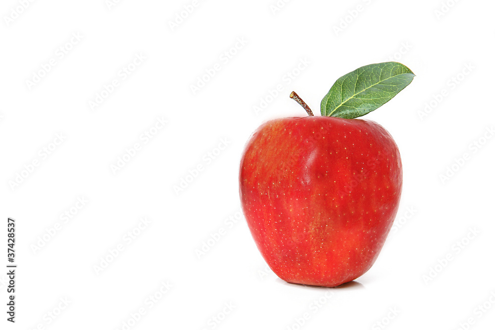 pomme rouge pomme rouge