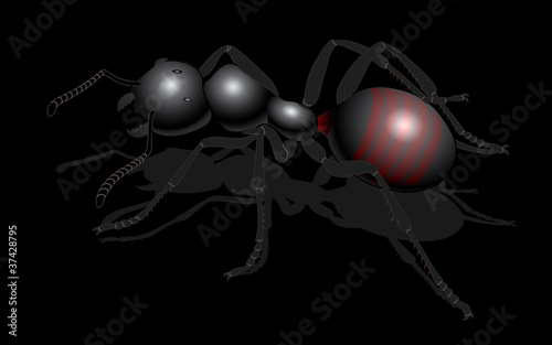 bug - forest ants isolated on white background , vector