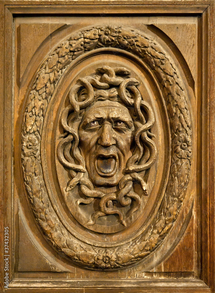 Medusa head Medusa head