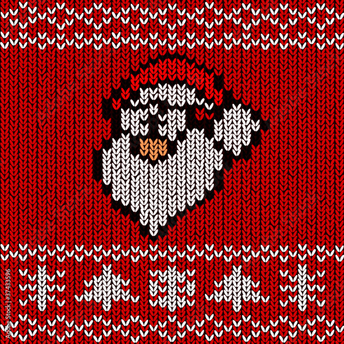 pulli strick nikolaus I