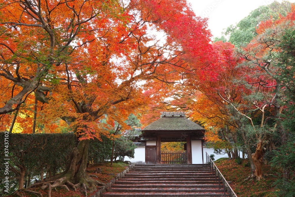 秋の安楽寺