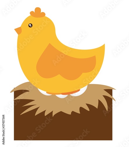 chicken