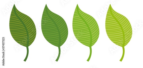 green leaves