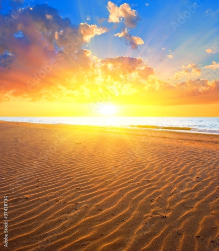 sandy beach in a rays of evening sun