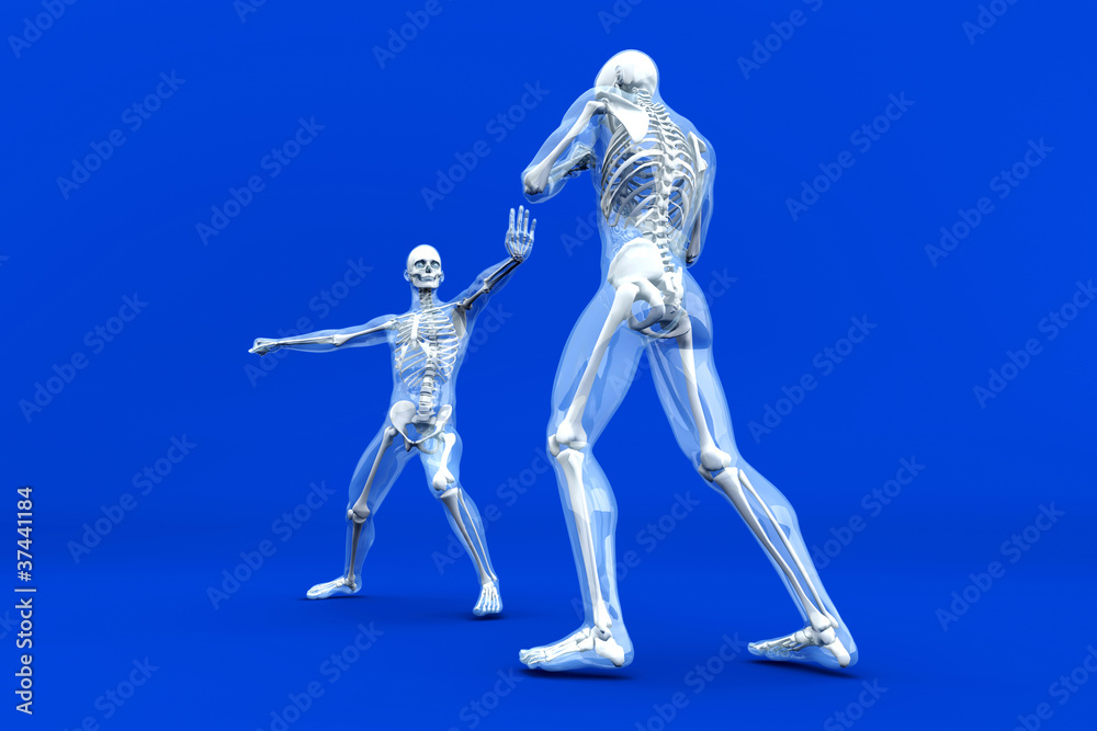 Anatomie - Kampf Anatomie - Kampf
