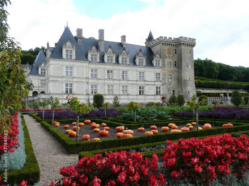 Vegetable gardens at the Chateau de Villandry in fall or autumn
