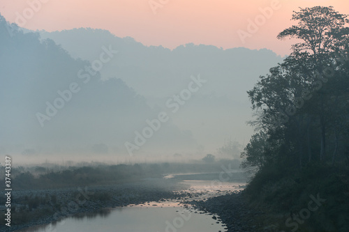 Morning  Jim Corbett National Park photo