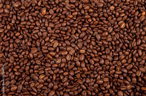 coffee seed background