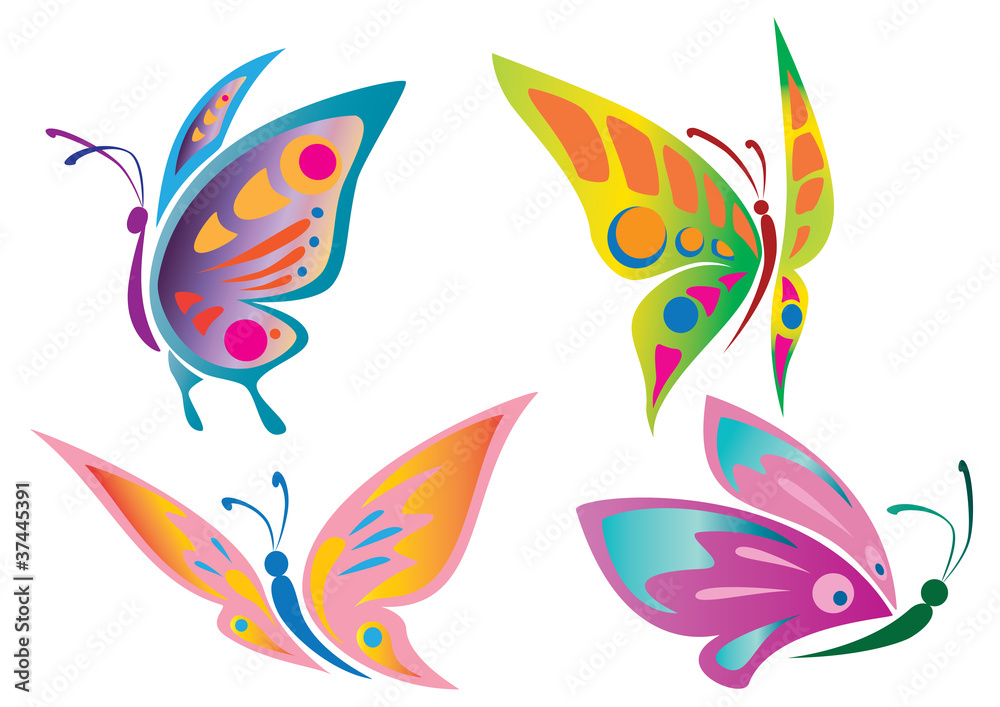 Obraz premium beautiful butterfly