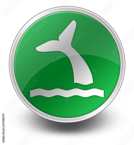 Green Glossy Icon "Whale"