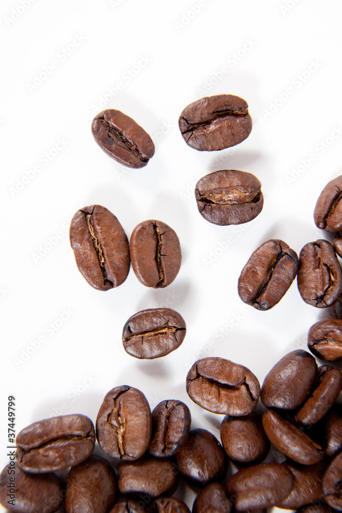 coffee 6 coffee 6