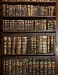 Wandcirkels Bibliotheek Historische boeken op oude boekenplank  © zdenek kintr