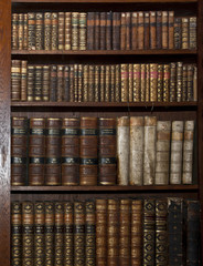 Wandcirkels Bibliotheek Historische boeken in antieke kast  © zdenek kintr