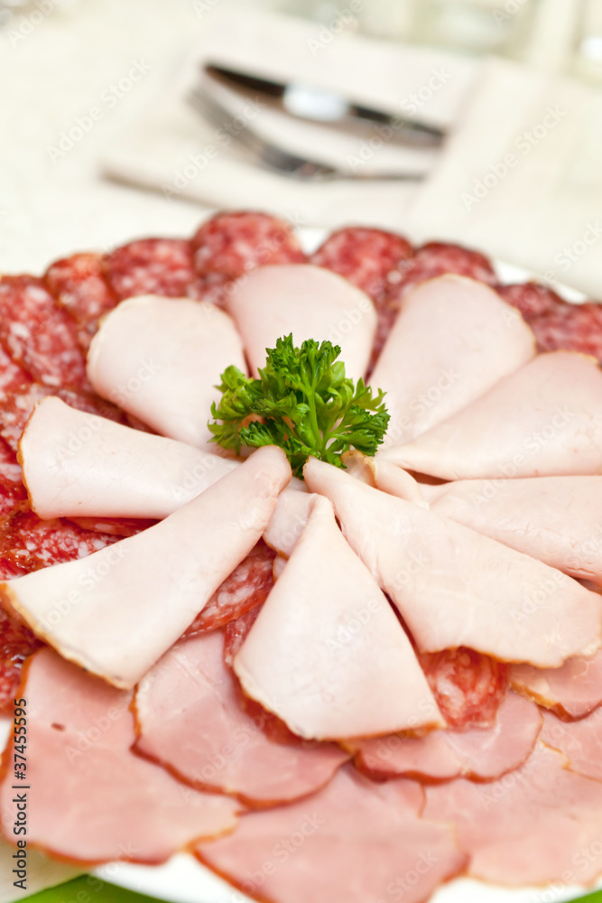 meat on the plate meat on the plate