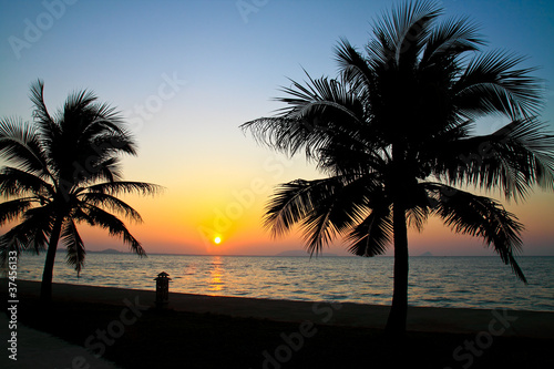 Coconut palm trees silhouetted against sky and sea at sunrise .