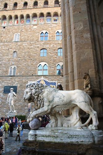 Lion in the Paizza della Signoria in Florence Italy
