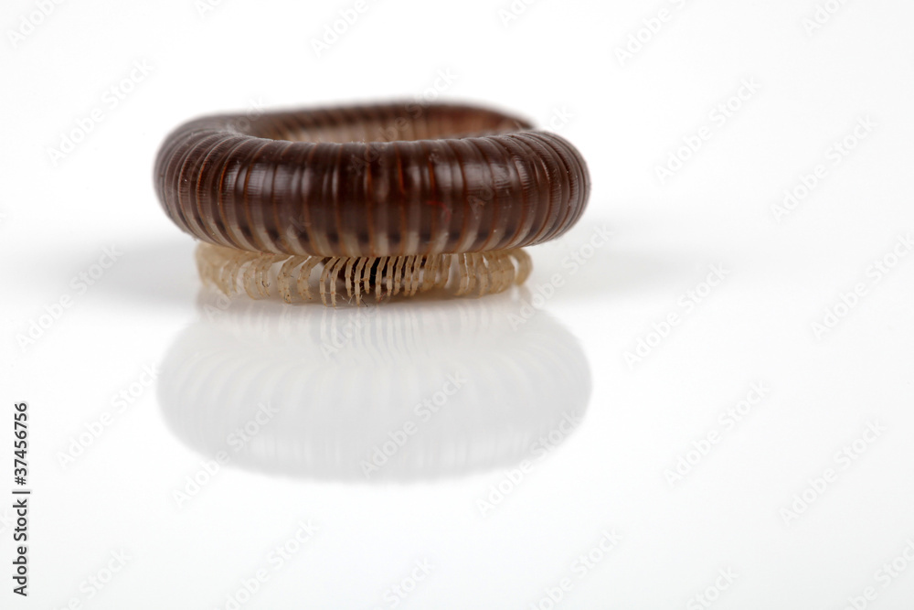 Selbstschutz Selbstschutz