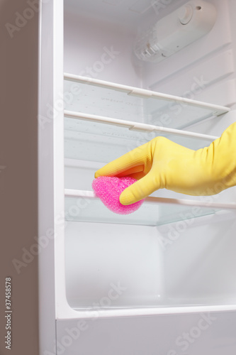 Hand cleaning refrigerator.
