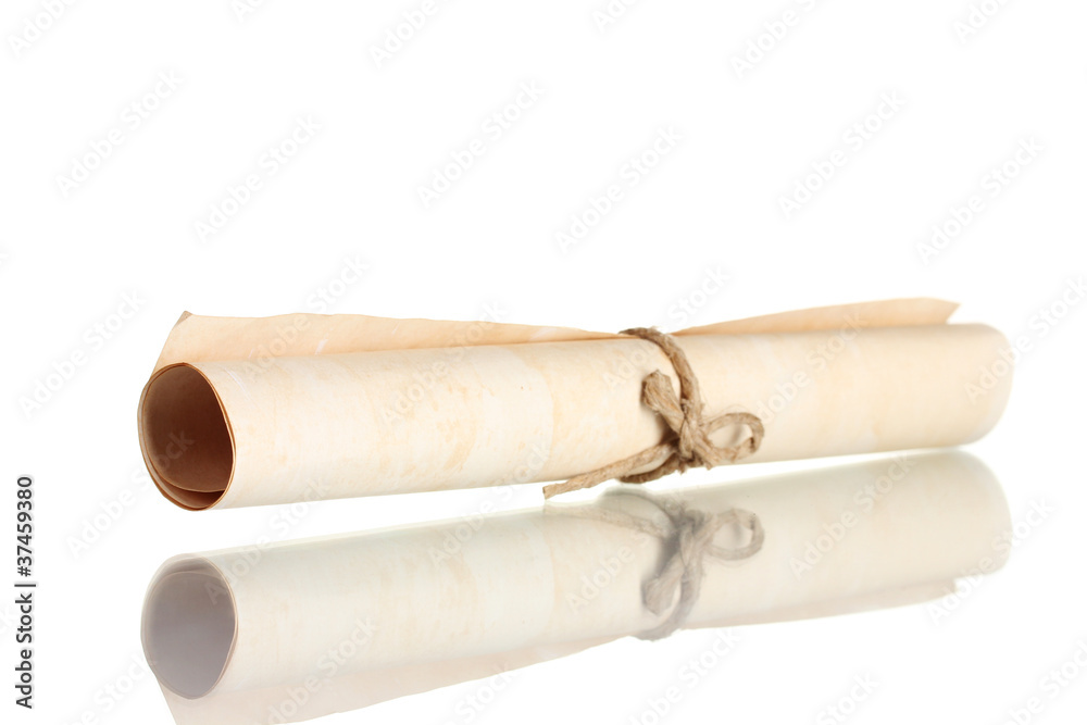 Scroll isolated on white Scroll isolated on white