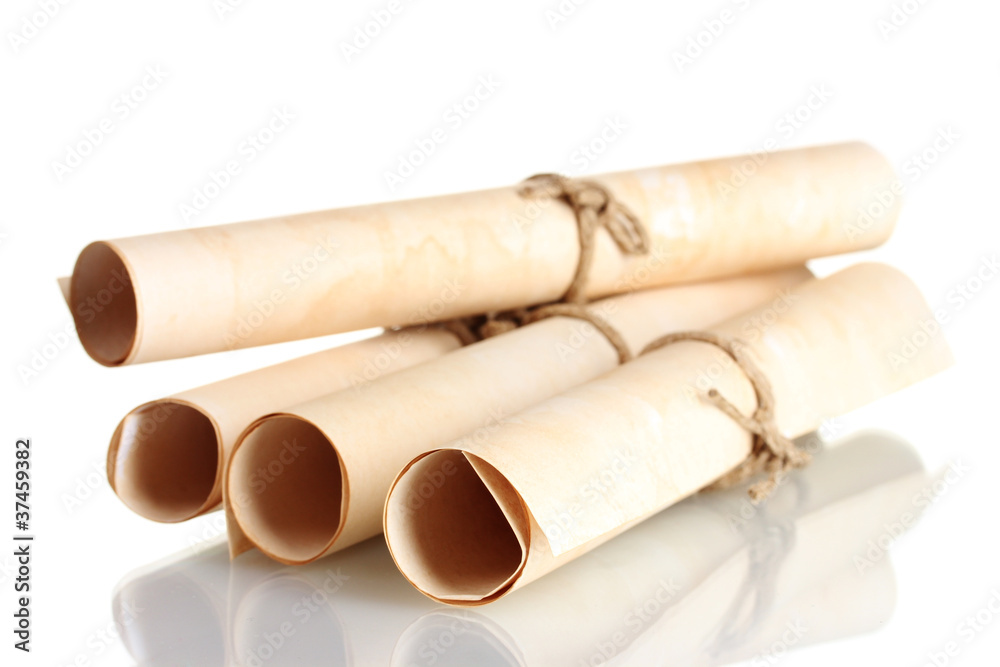 Many scrolls isolated on white Many scrolls isolated on white