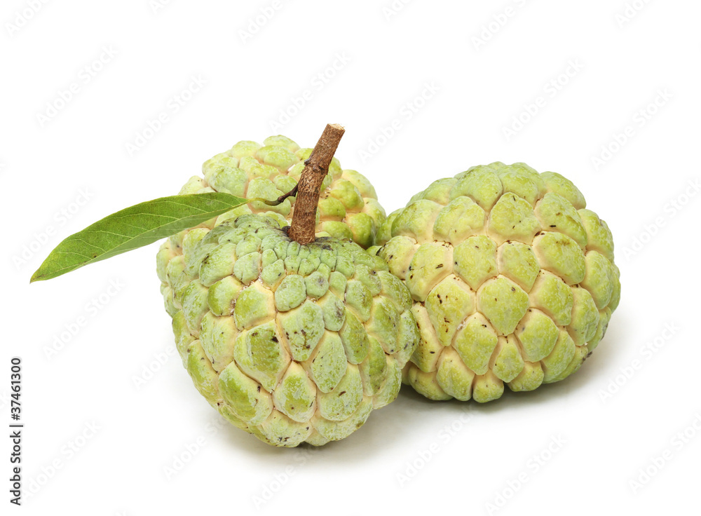 Custard apple on white background Custard apple on white background