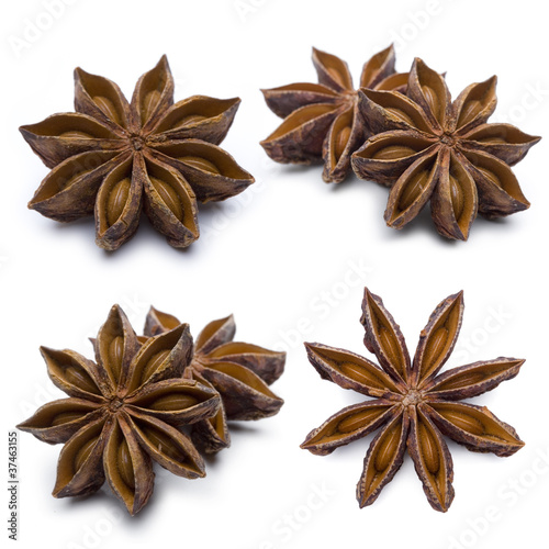 Sternanis