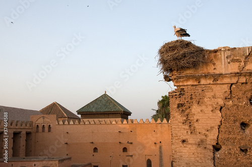 Marrakech