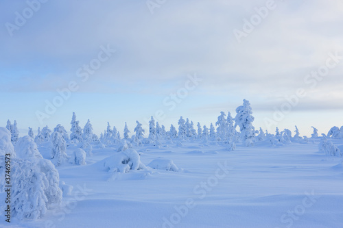 Winter in the finland