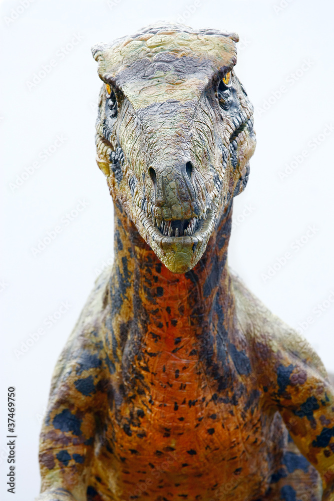 Obraz premium Dinozaur Deinonychus