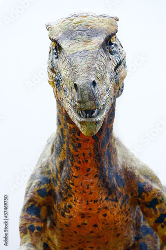 Canvas Print Deinonychus dinosaur