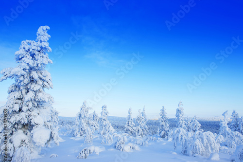 Winter in the finland