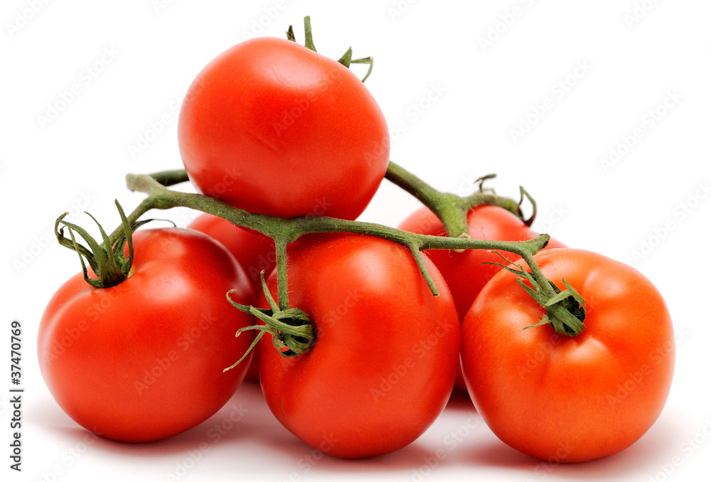 Bunch of fresh red tomatoes, placed on the white background. Bunch of fresh red tomatoes, placed on the white background.